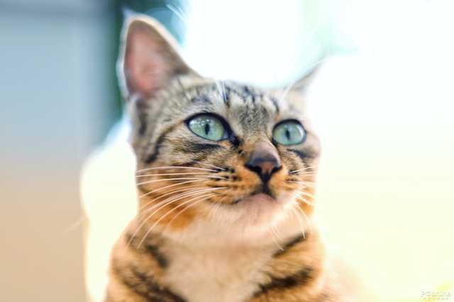 勇哥科技@宅家修图很简单 手机电脑都可以修出大片的感觉