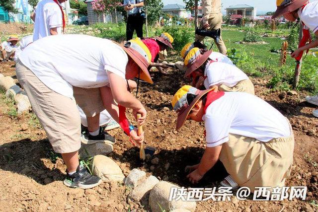 劳动|体验“劳动之美”陕西省劳动教育实践基地考察观摩活动举行