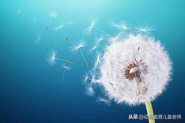 【超级宝妈】孩子很容易分心，这是一种简单的方式，可以训练我们和孩子注意力