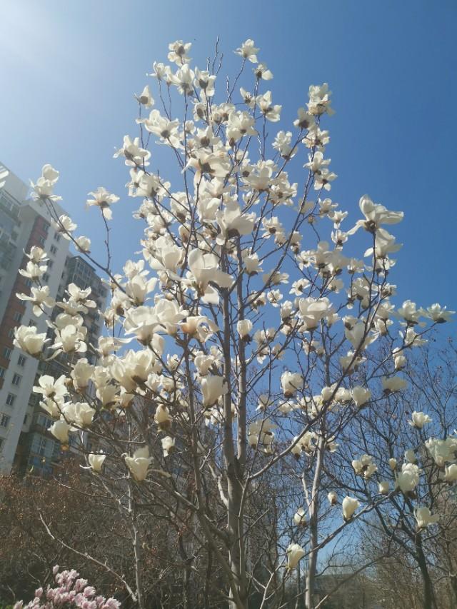 「你的育儿经」值得纪念的一天