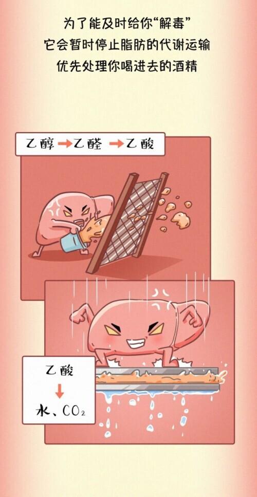 肝脏|肝脏受伤全过程