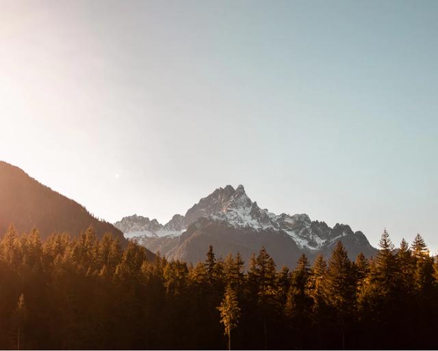 关于印发成都市加快工业互联网发展支持政策的通知