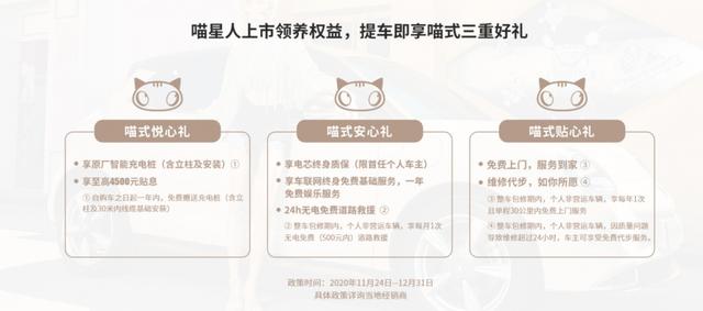 到底是买宠物还是买汽车？又是狗啊又是猫啊，究竟怎么回事