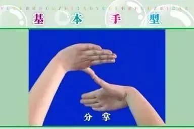 #你的育儿经#用这些童谣和孩子一起玩手指操，开发右脑，孩子越玩越聪明