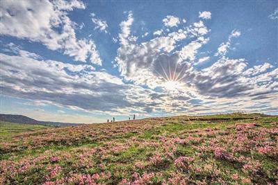 「约吗旅行」静谧的草原
