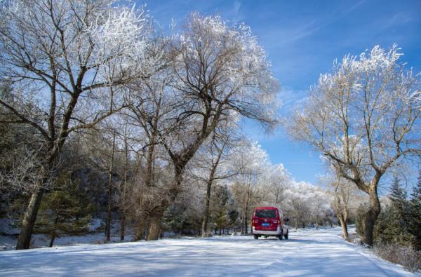 会宁：冬景如画 雪落成诗