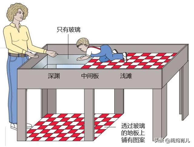 「你的育儿经」2岁宝宝走玻璃栈道,跨出一步后愣在原地,空中行走是否会重现?