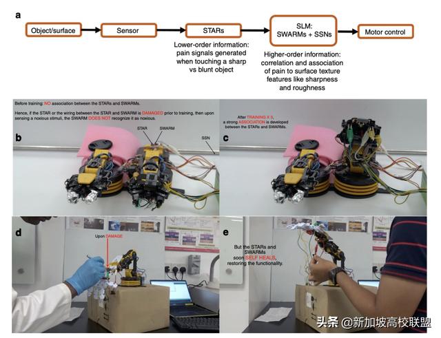 NTU 科研团队实现机器人识别疼痛及自我修复功能