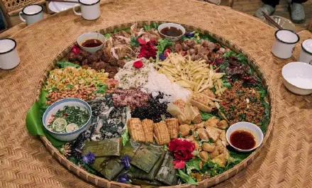 《向往的生活》越来越不是那个味儿了|电影工厂