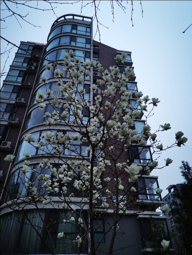 【你的育儿经】看护好自己的小孩,预防小区交通事故