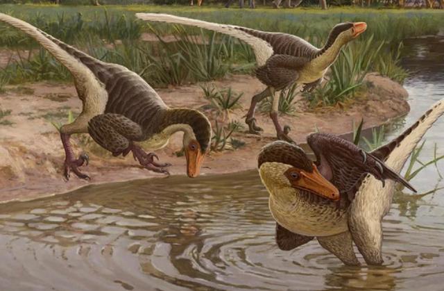 「环球网」研究称“最后的猛禽”恐龙可能拥有羽毛和尾巴