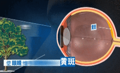 21世纪经济报道@这件事情不重视，孩子的眼睛都毁了