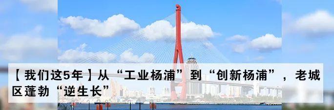 功能饮料能抗疲劳、补充能量，里面的咖啡因究竟是敌是友？