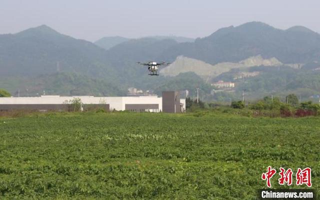 「中国新闻网」重庆首个5G网联植保无人机试飞成功