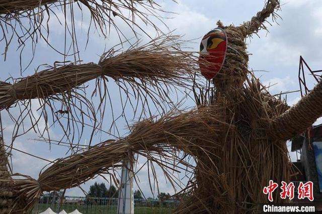 雕塑|全国高校大学生制作“稻草”雕塑群