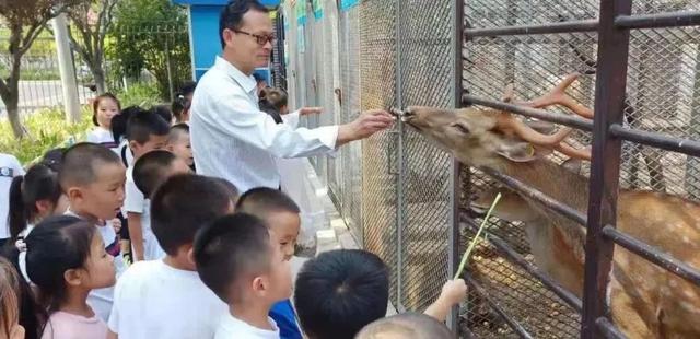 你的育儿经|“利津游戏”在幼教圈那么火，我们可以怎么学？