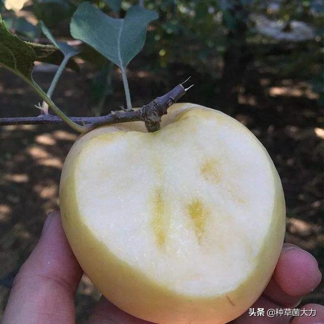 #你的育儿经#忽冷忽热的春天，多给孩子吃这四种水果，增强抵抗力又防“春燥”