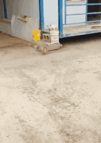 搞笑gif:小姐姐,你这么潇洒男朋友知道吗?