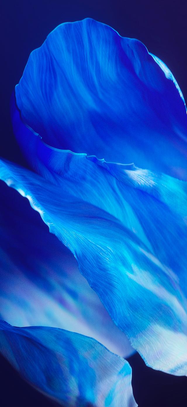 高清，OPPO的这组壁纸，被称为最有艺术感的壁纸