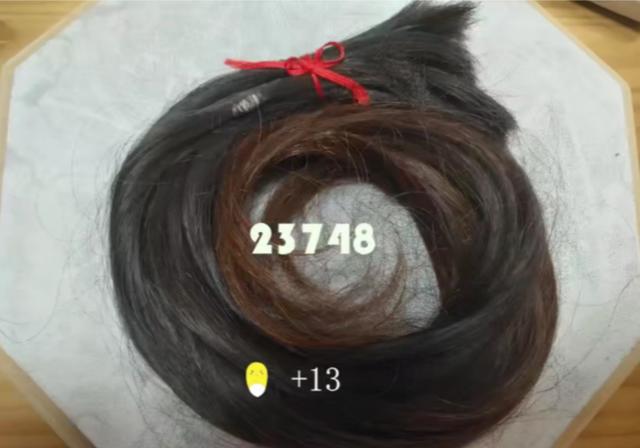 头发|秃秃秃！网友一年攒下掉发23748根！医生：正常范围内