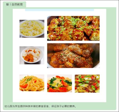 国学|成都一“国学教育”幼儿园对幼童采取“全素饮食”，官方：正在调查