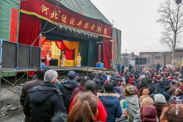 「世界那么大」古镇的古树都长到古宅的房间里了 奇怪的是却名不见经传