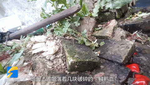 记者|这家知名网红火锅店出事了