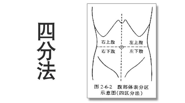 孩子|孩子总说肚子疼，到底是哪里疼？父母该怎么办？