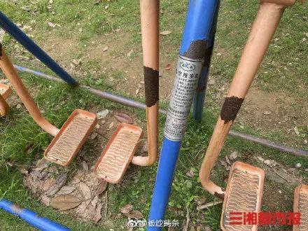 超级宝妈：心疼！4岁男童被这种器械夹伤，导致手指截肢！很多小区都有...
