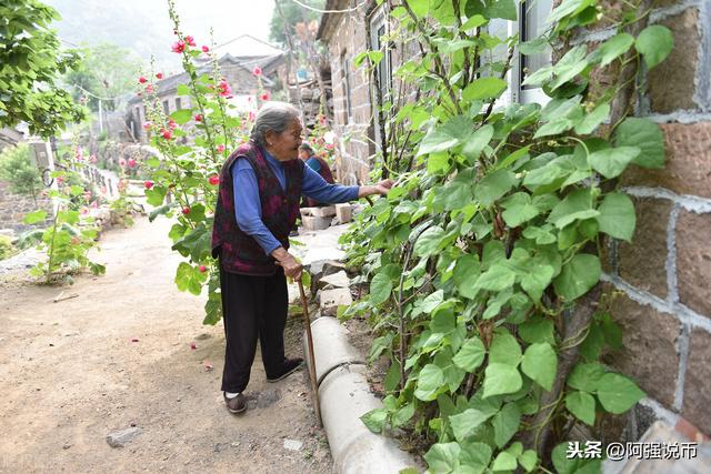 孙女结婚，95岁高龄奶奶包2800元红包，却记不住孙女名字