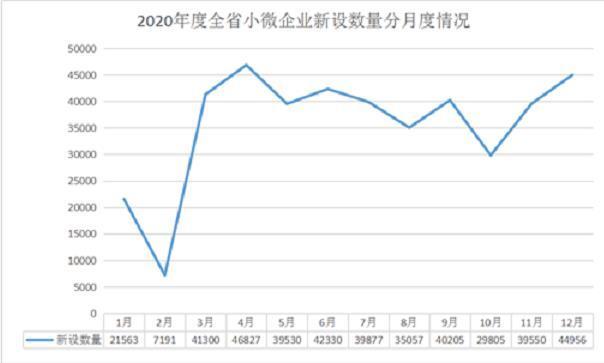 2020年浙江省新设小微企业42.82万户 同比增长4.07%