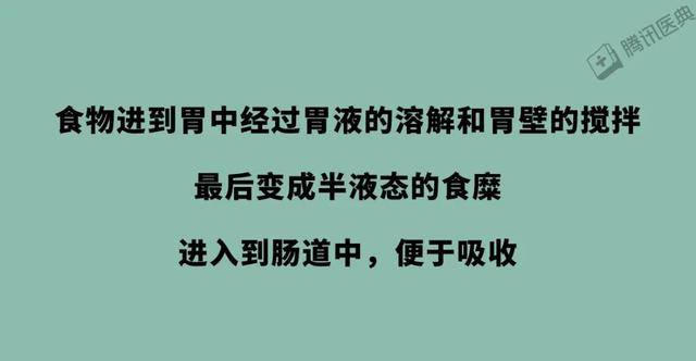 一吃主食就胀气，没吃几口就打嗝，这是胃在向你抗议！