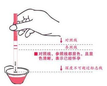 超级宝妈：早早孕试纸的结果准确吗?医生：请注意它的使用和结果判读