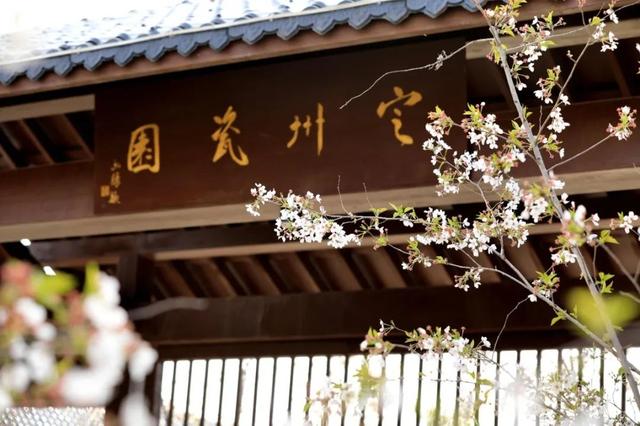 浮生忘流年:在这里,遇见最美的邢台