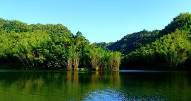 中国最美的十大森林之一,集竹景,山水,湖泊,瀑布和古庙于一体