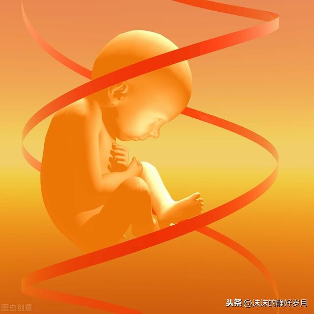 思念淡如水|孕妈妈常摸肚子，会导致胎宝宝脐绕颈？还是听听专家的解释吧