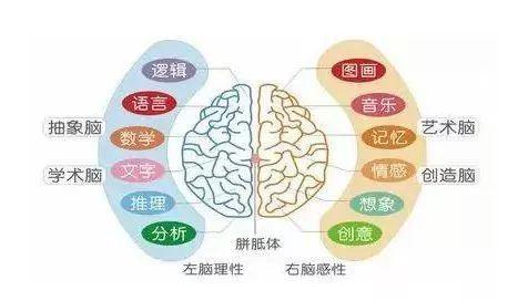 《最强大脑》国际记忆教练来汉开亲子公开课，限量门票免费领