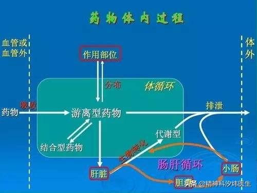 辟谣：住院期间，频繁给精神病人抽血化验，就为了收费？