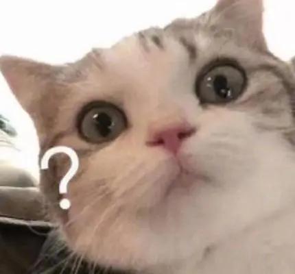 你的育儿经■让奶奶不再喂饭有多难？看看《安家》里的海清就知道了