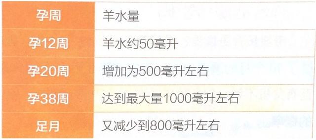 你的育儿经|孕育新生命那些默默奉献的无私“小伙伴”
