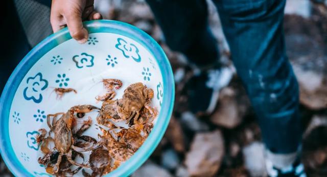 【世界那么大】海岛春色亦苏醒，这是我爱的舟山