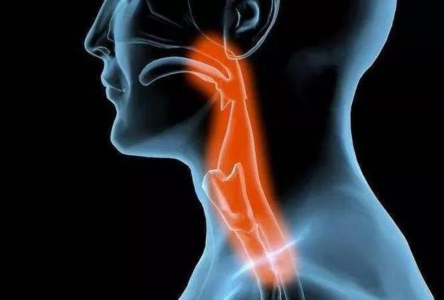 食管癌|我国食管癌高发，这些生活陋习赶快自查