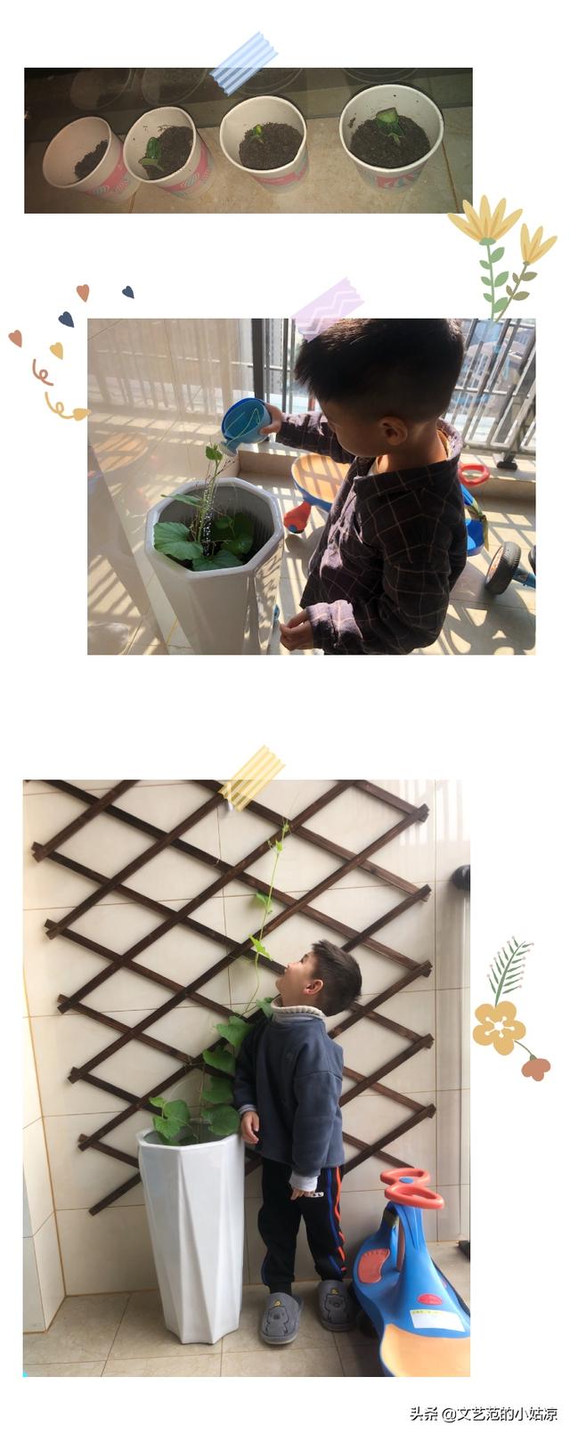 【超级宝妈】清明节，您对孩子进行生命教育了吗？