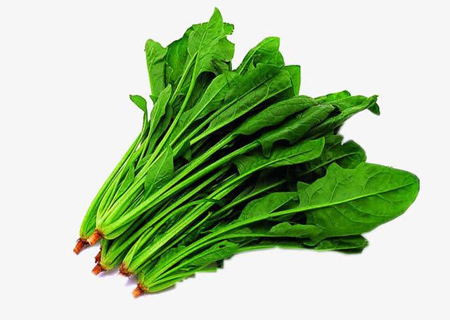 你的育儿经■孕期如何预防贫血,准妈妈吃对了是关键!