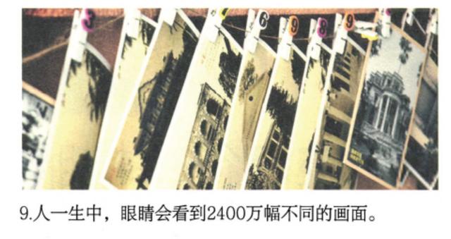 关于眼睛的12个冷知识