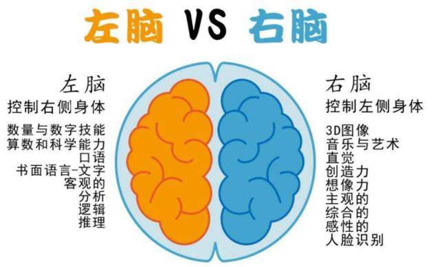 超级宝妈@3-6岁是大脑开发的“关键期”，掌握这3个重点，娃一天比一天聪明