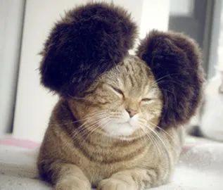 冬季留神健康隐患“御寒宝典”请收好