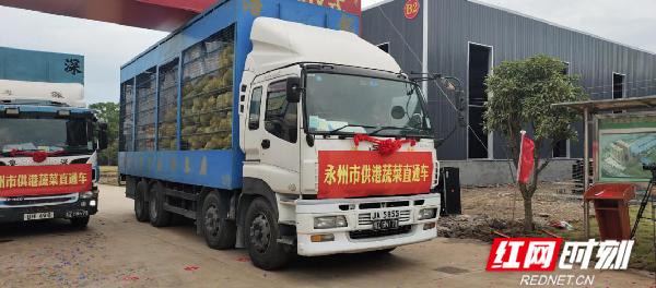 蔬菜|江华：全力打造粤港澳大湾区“菜篮子”2020年出口创汇3.9亿美元