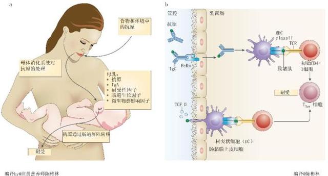 预防哮喘，这样吃