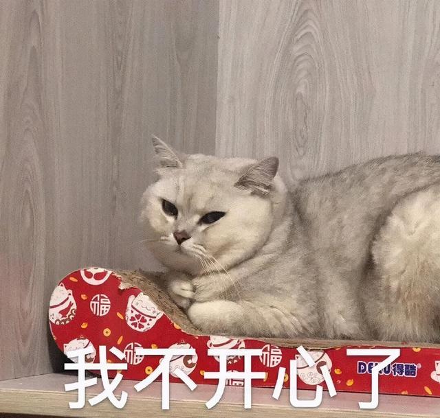 给敏感图片自动打码，这是什么神仙App